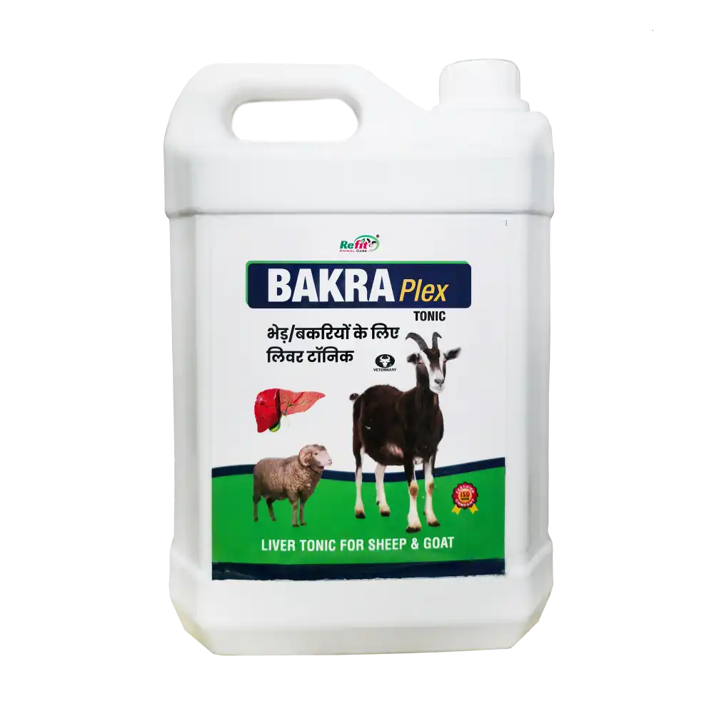 Bakra Plex - Liver Tonic for Sheep & Goat - 5 Ltr