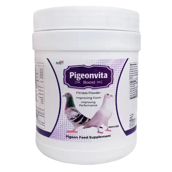 Pigeonvita Boost - Fitness Powder For Pigeons - 500 gm