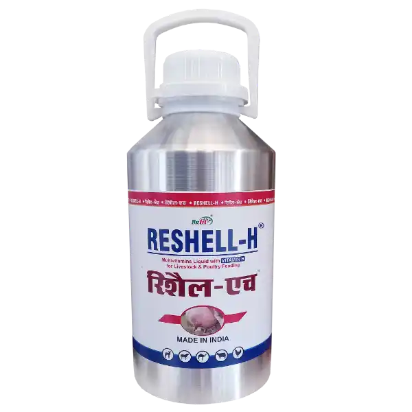 Reshell-H - Vitamin-H For Cattle & Poultry - 2.5 Ltr