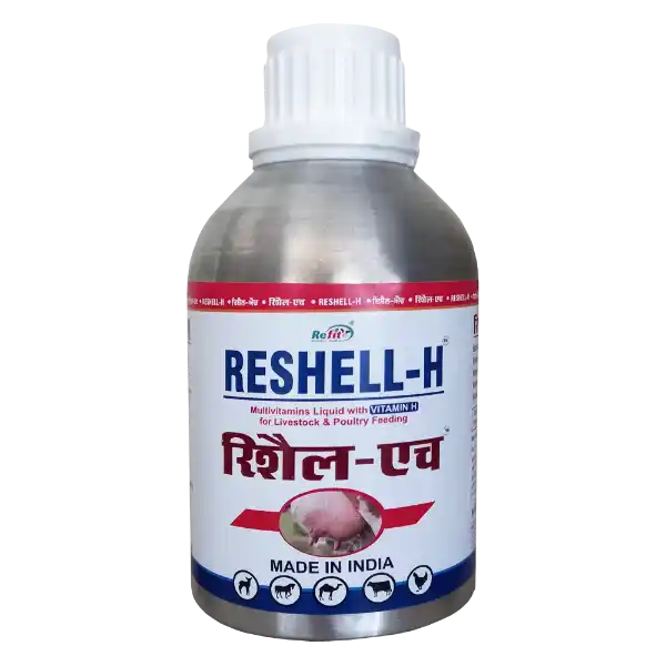 Reshell-H - Vitamin-H For Cattle & Poultry - 250 ml