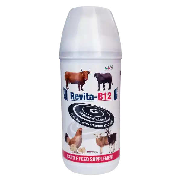 Revita-B12 - Vitamin B12 & C Liquid, Cattle & Poultry - 1 Ltr