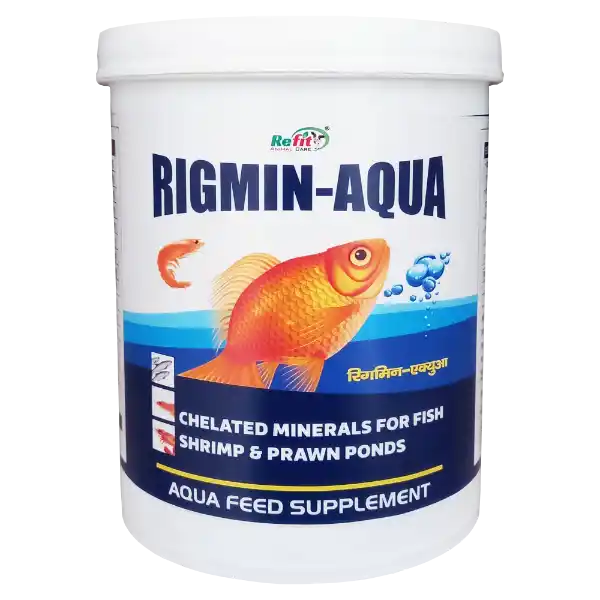 Rigmin-Aqua - Mineral Mixture For Fishes - 1 Kg