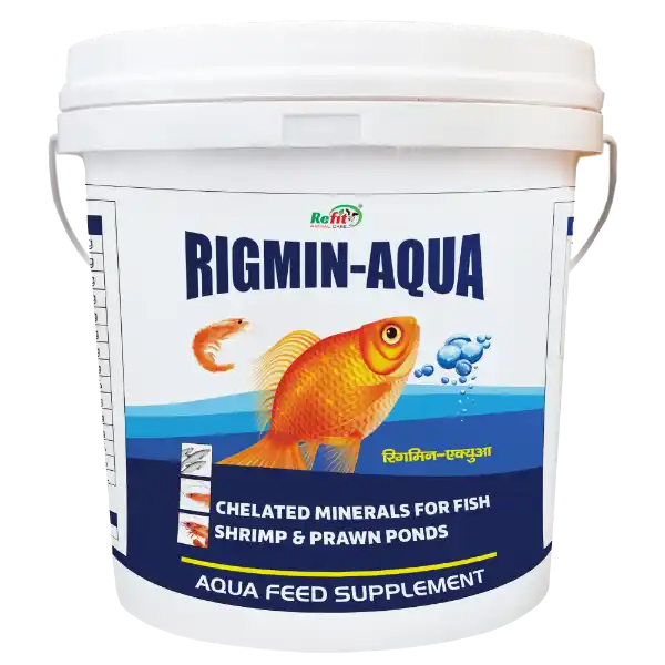 Rigmin-Aqua - Mineral Mixture For Fishes - 5 Kg