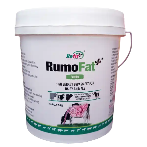 Rumo Fat - Rumen Bypass Fat For Cattle - 5 Kg