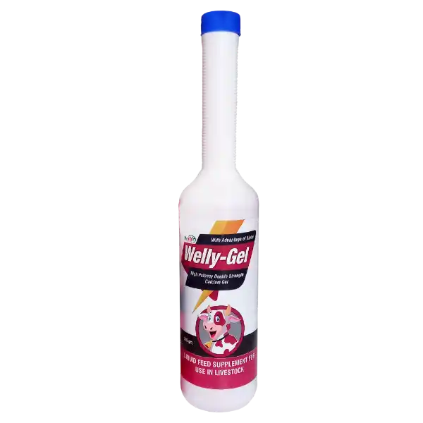 Welly Gel - Double Strength Calcium Gel For Cattle - 300 gm