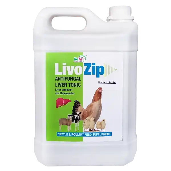 Livo Zip - Anti-Fungal Liver Tonic For Cattle & Poultry - 5 Ltr