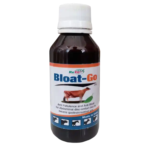 Bloat Go - Anti-Bloat Supplement - 100 ml
