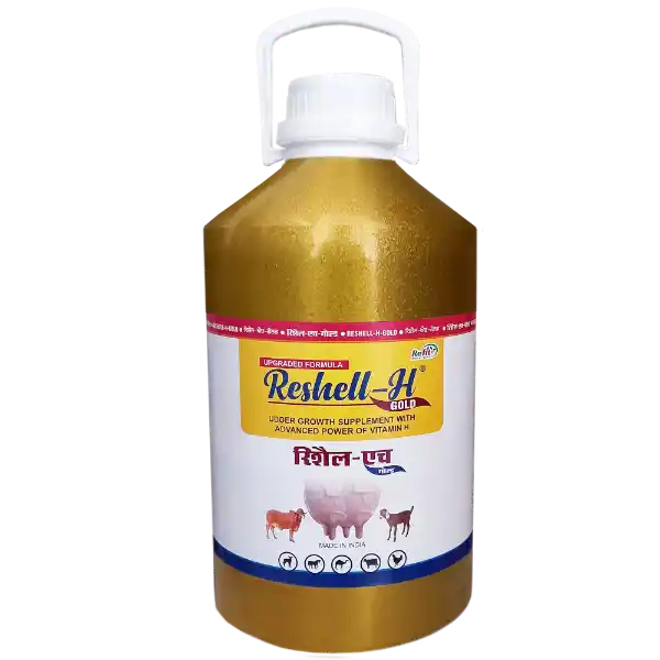 Reshell-H Gold - Vitamin-H For Cattle & Poultry - 5 Ltr