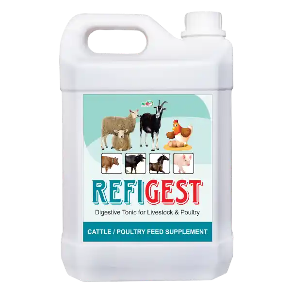 Refigest - Digestive Tonic For Catle & Poultry - 5 Ltr