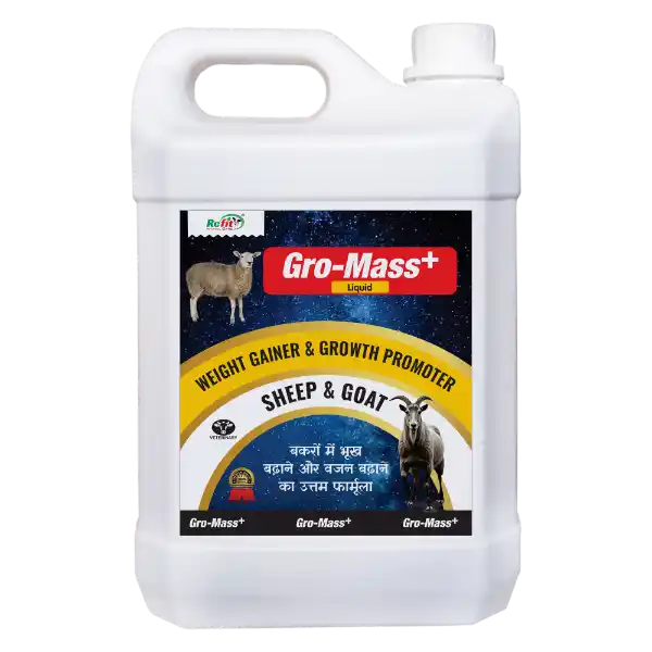 Gro-Mass+ - Liquid Weight Gainer for Sheep & Goat - 5 Ltr