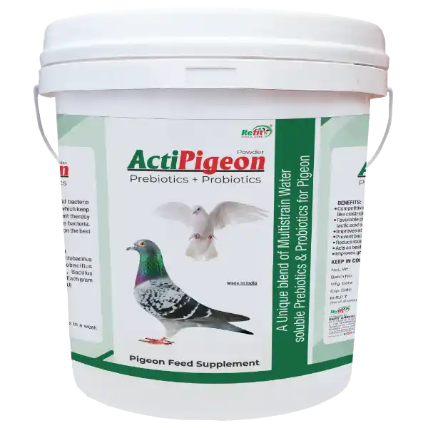 ActiPigeon - Prebiotics & Probiotics for Pigeon - 5 Kg