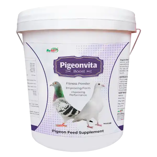 Pigeonvita Boost - Fitness Powder For Pigeons - 5 Kg