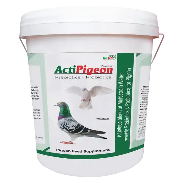 ActiPigeon - Prebiotics & Probiotics for Pigeon - 10 Kg