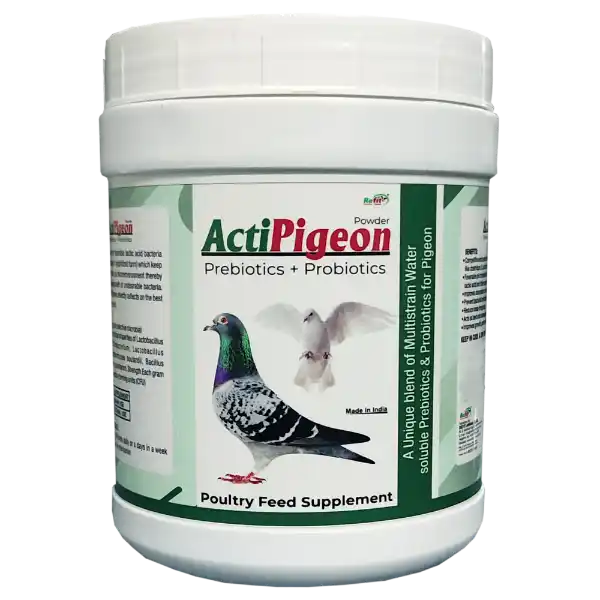 ActiPigeon - Prebiotics & Probiotics for Pigeon - 500 gm