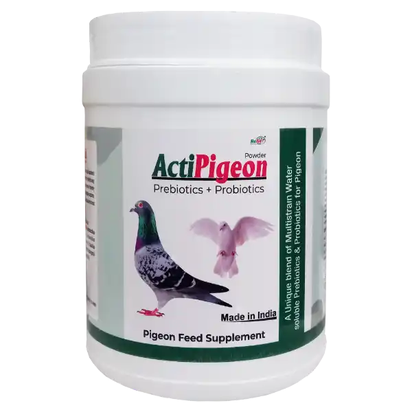 ActiPigeon - Prebiotics & Probiotics for Pigeon - 1 Kg