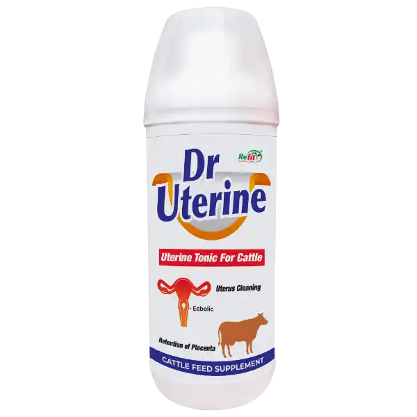 Dr. Uterine - Uterine Tonic For Cattle - 500 ml