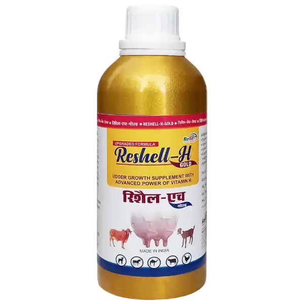 Reshell-H Gold - Vitamin-H For Cattle & Poultry - 500 ml