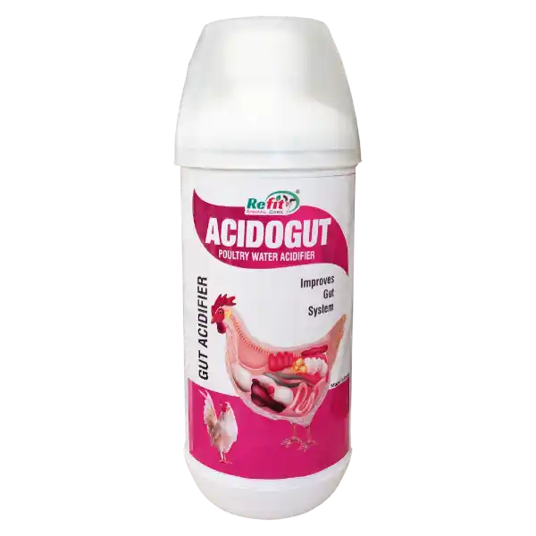 Acido Gut - Acidifier For Poultry - 1 Ltr