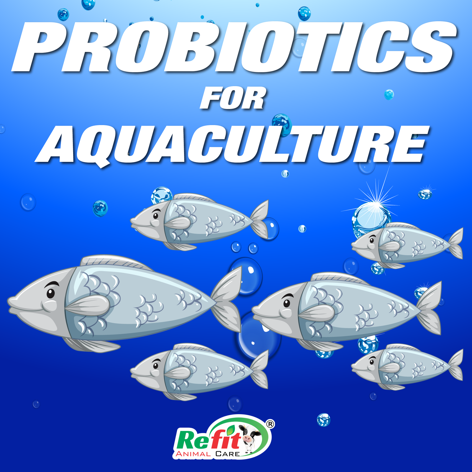 aqua prob why choose