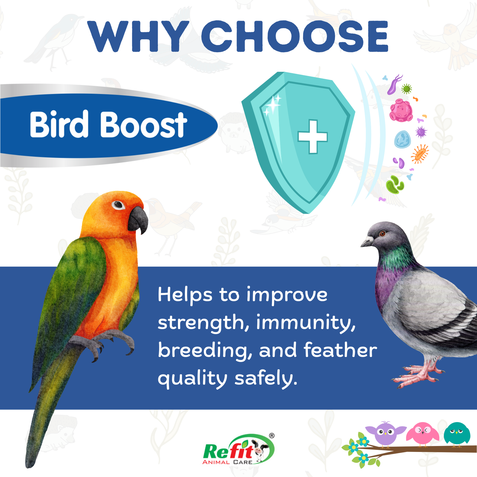 bird boost why choose
