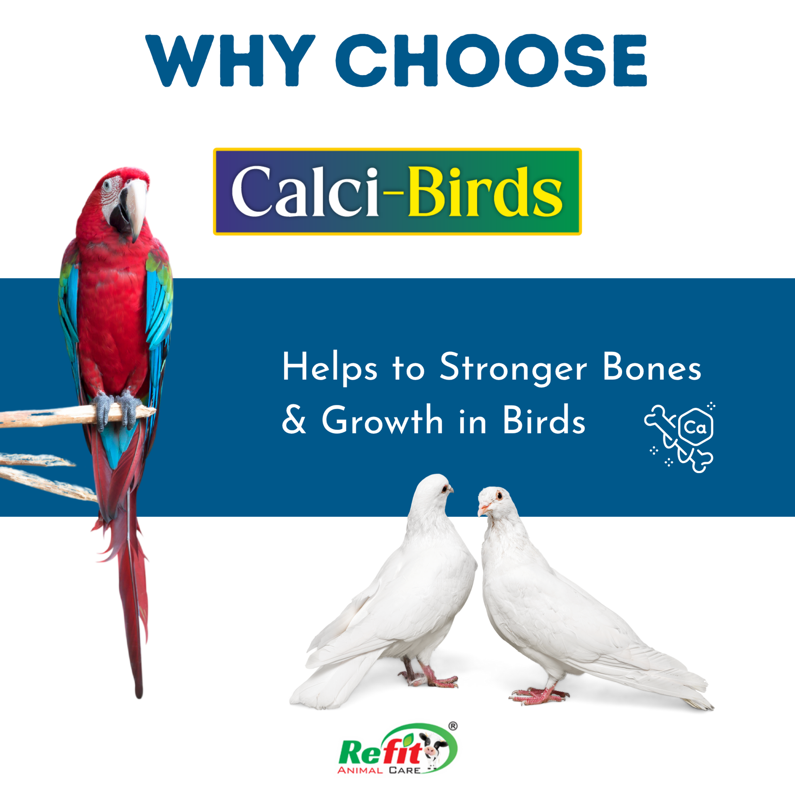 calcibirds why choose
