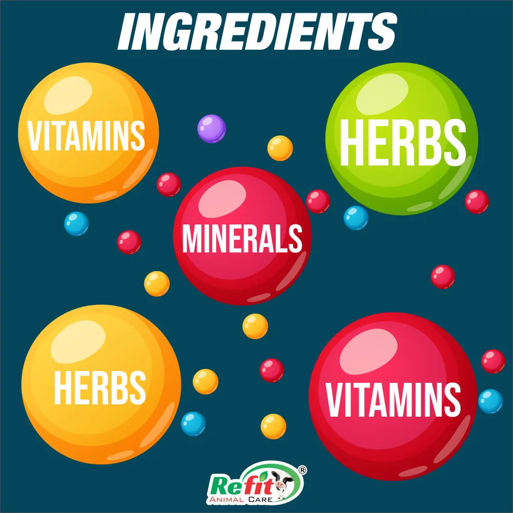 revita-b12 ingredients