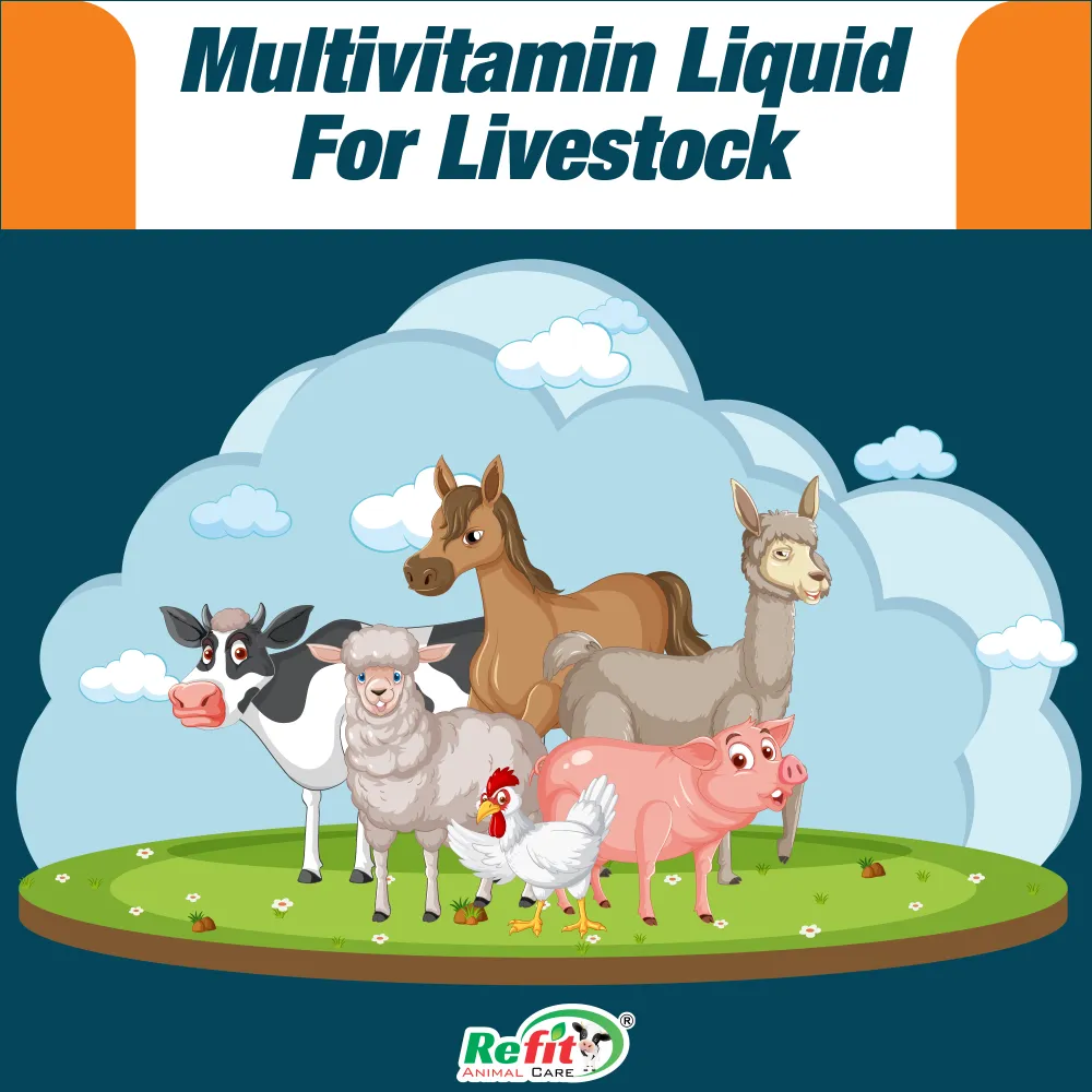 revita-b12 whychoose