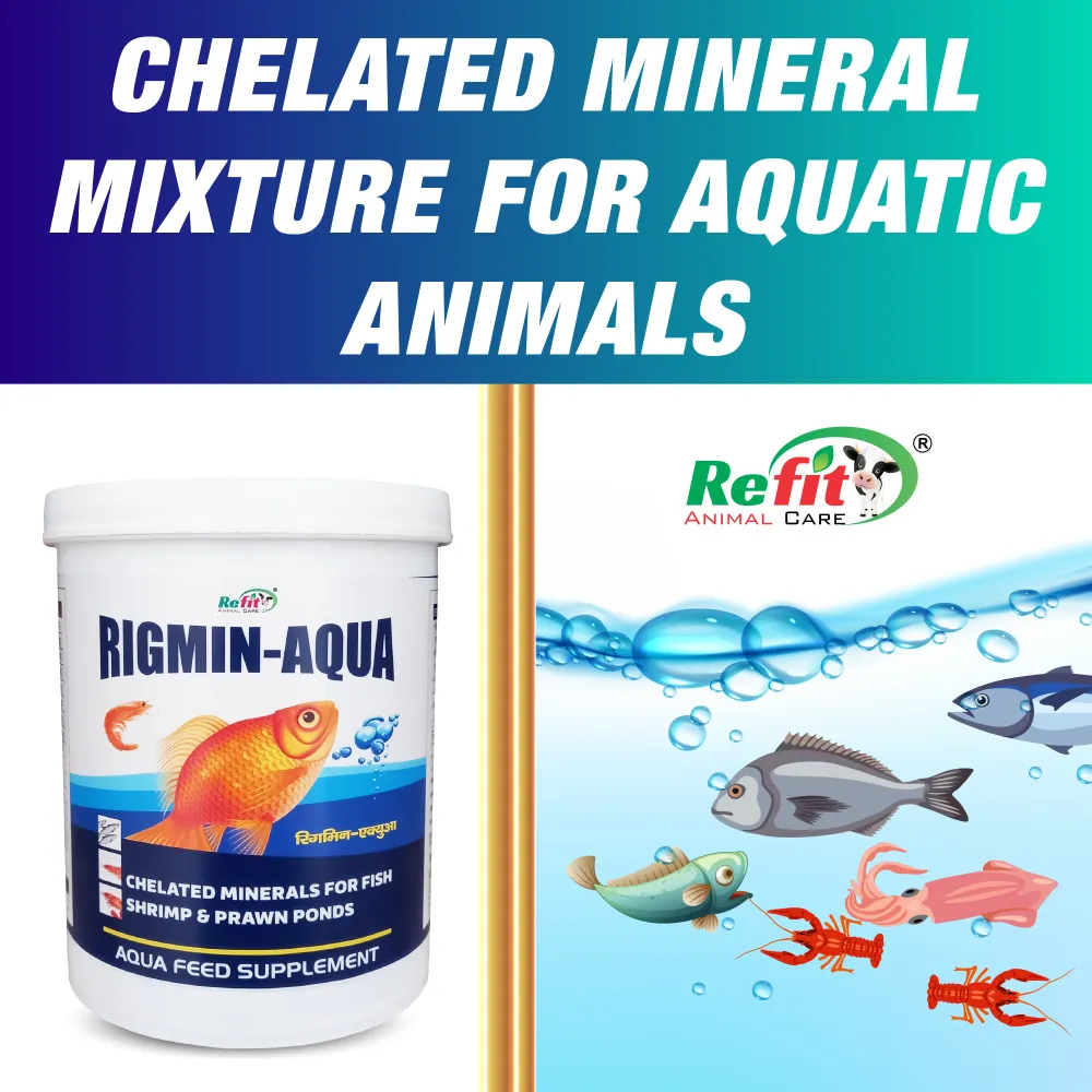 rigmin aqua whychoose