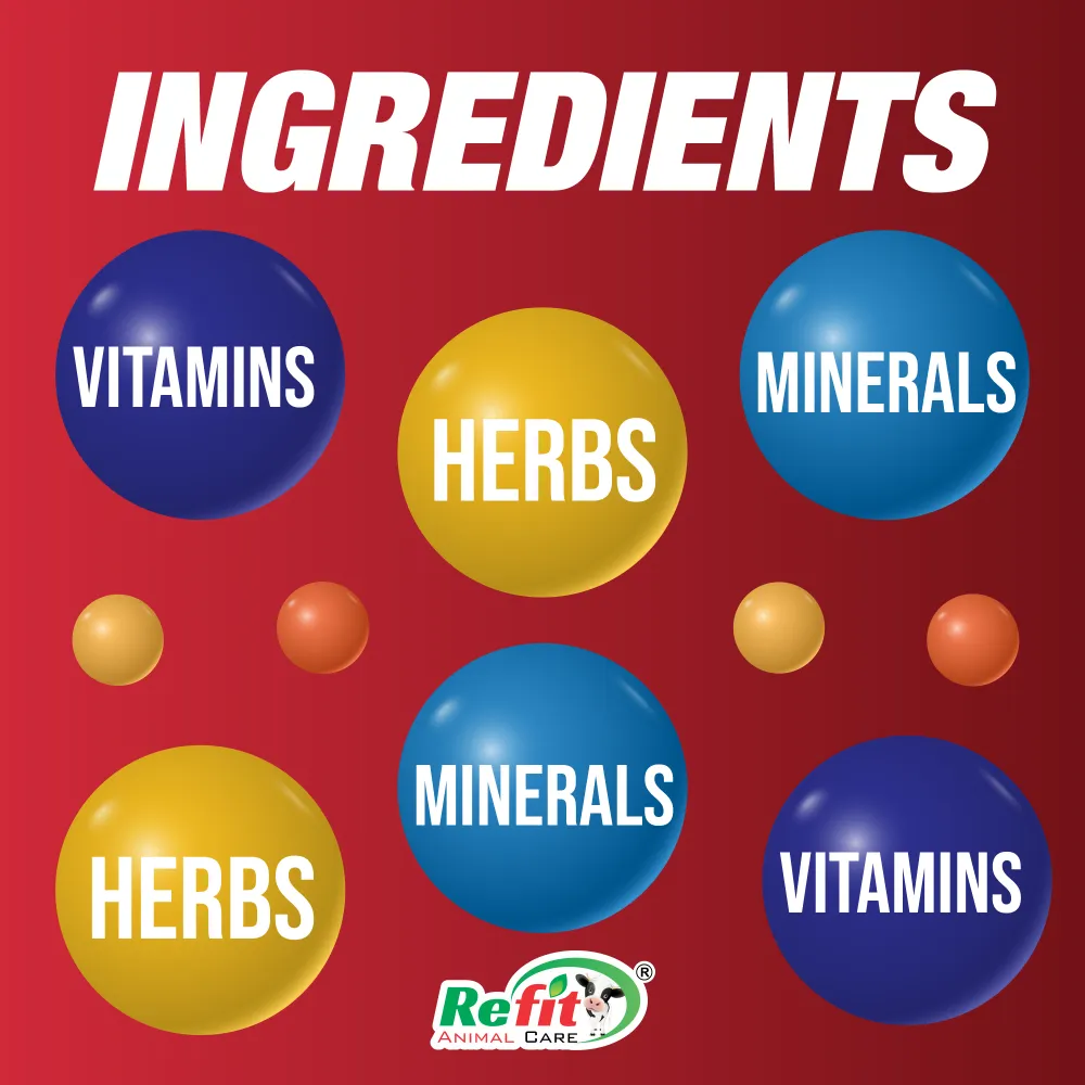 rivliv ingredients
