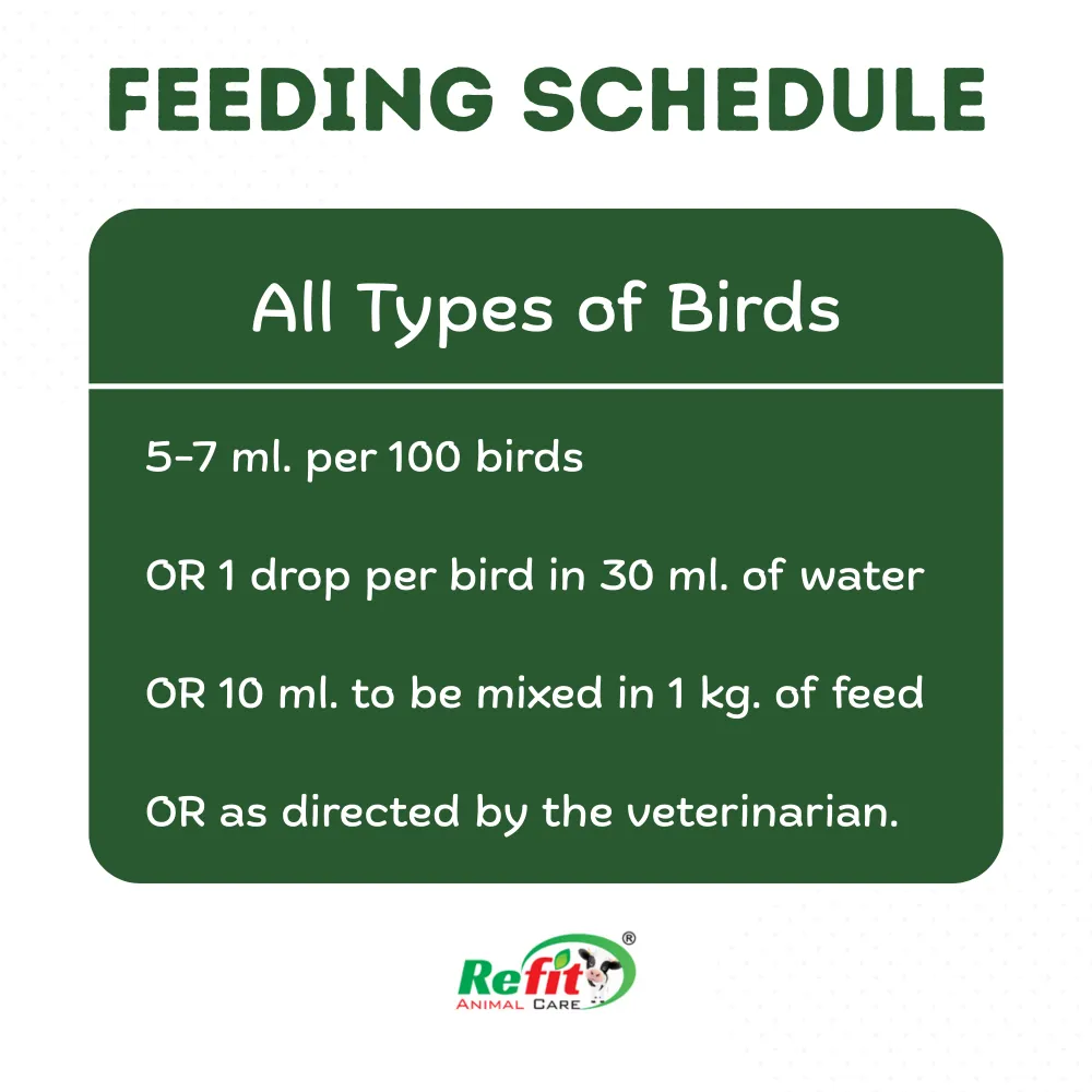 vitabird feeding
