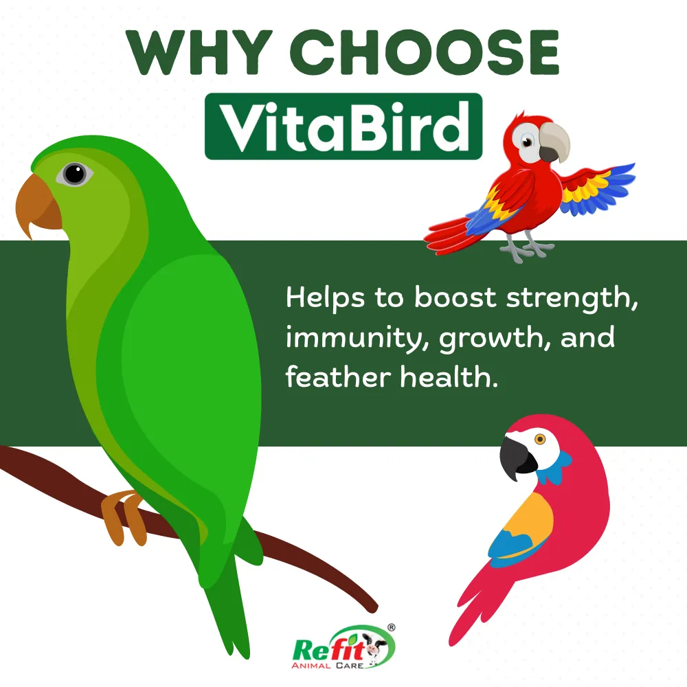 vitabird whychoose
