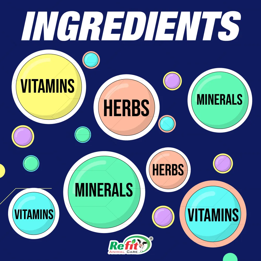 wetup ingredients