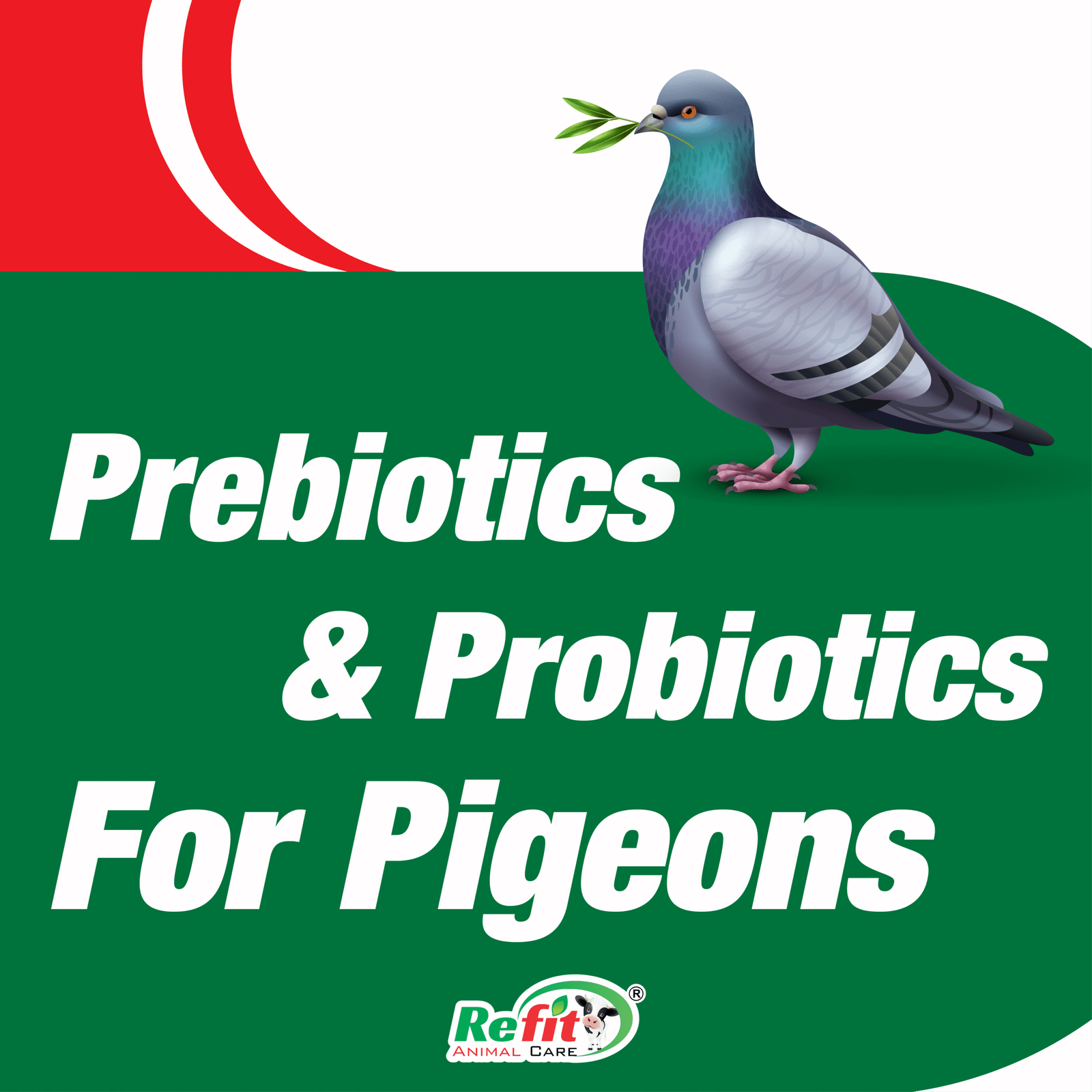 why choose actipigeon